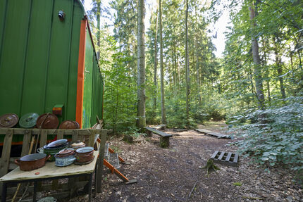 Waldphänomene hautnah erleben am Bauwagen im Weißenborner Wald
