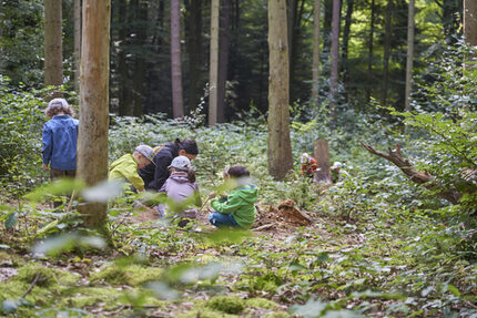 Der wöchentliche Wald-Tag lädt ein die Natur mit all seinen Facetten und jahreszeitlichen Reizen zu entdecken.