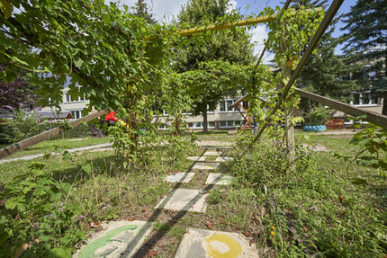 Barfußpfad im Hopfenspalier